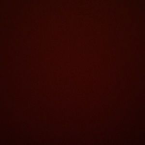 Meet your Posher, Delphine